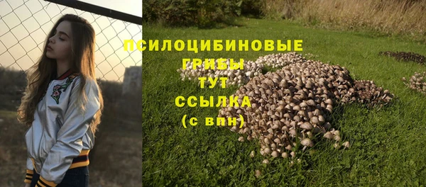 круглые Алзамай