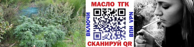 купить наркоту  Грязовец  Дистиллят ТГК Wax 