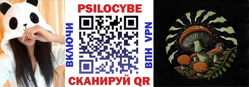 Псилоцибиновые грибы прущие грибы  купить закладку  Грязовец 